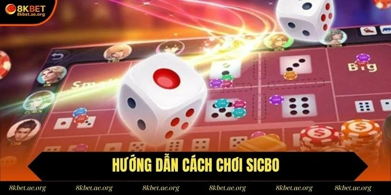  Hội viên cần nắm rõ cách chơi sicbo khi tham gia