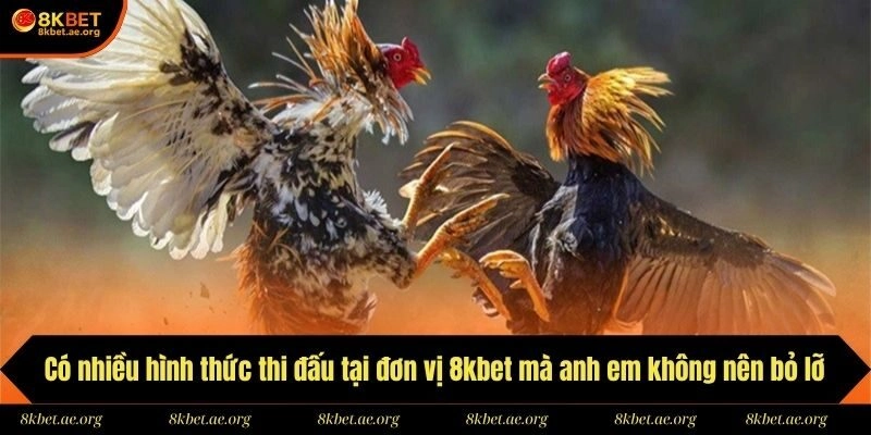 Có nhiều hình thức thi đấu tại đơn vị 8kbet mà anh em không nên bỏ lỡ