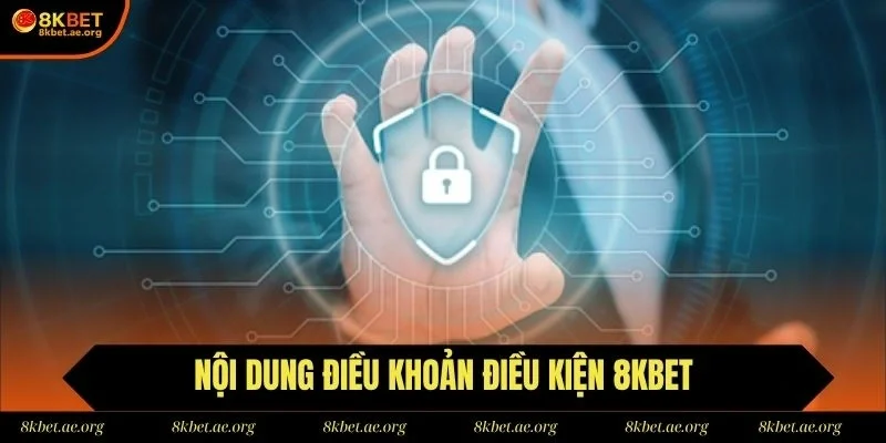 Hội viên cần nắm rõ điều khoản và điều kiện khi trải nghiệm dịch vụ